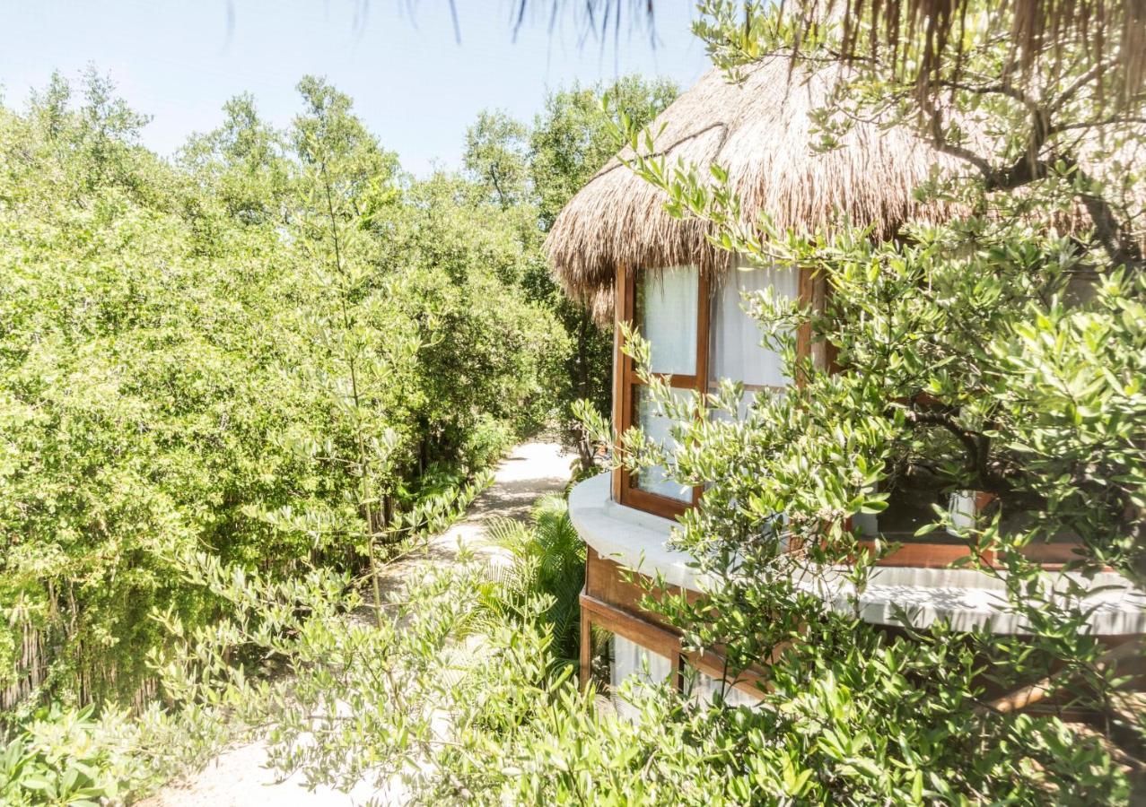 Mamasan Treehouses & Cabins ตูลุม ภายนอก รูปภาพ