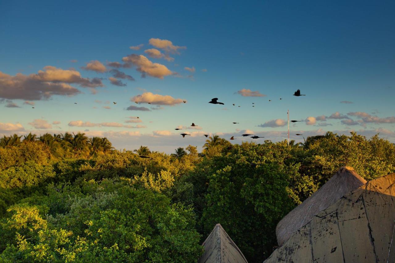 Mamasan Treehouses & Cabins ตูลุม ภายนอก รูปภาพ